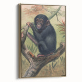 Vintage Animal Art – Chimpanzee Illustration Wall Print