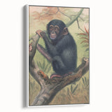 Vintage Animal Art – Chimpanzee Illustration Wall Print