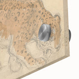 Vintage Animal Art – Leopard Sketch Illustration Wall Print