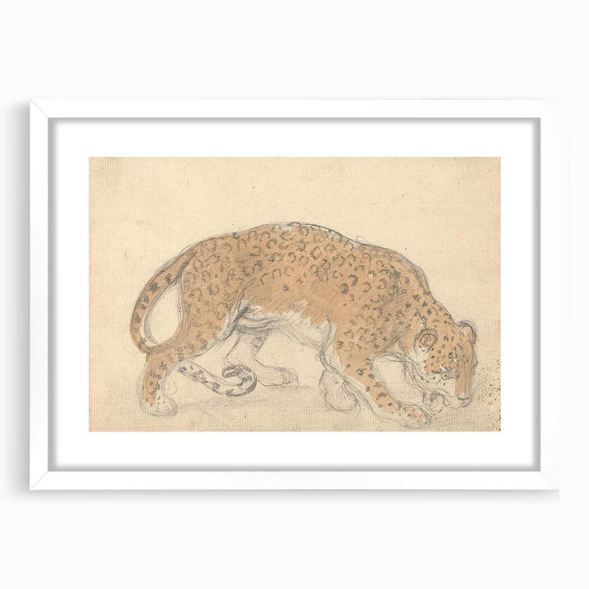 Vintage Animal Art – Leopard Sketch Illustration Wall Print