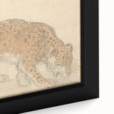 Vintage Animal Art – Leopard Sketch Illustration Wall Print