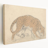 Vintage Animal Art – Leopard Sketch Illustration Wall Print