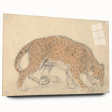 Vintage Animal Art – Leopard Sketch Illustration Wall Print