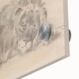 Vintage Animal Art – Lion Sketch Illustration Wall Print