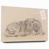 Vintage Animal Art – Lion Sketch Illustration Wall Print