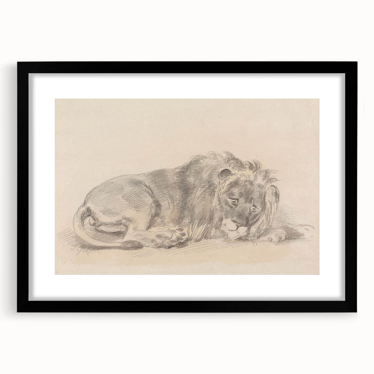 Vintage Animal Art – Lion Sketch Illustration Wall Print