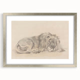 Vintage Animal Art – Lion Sketch Illustration Wall Print
