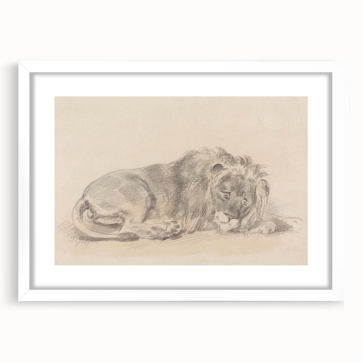 Vintage Animal Art – Lion Sketch Illustration Wall Print
