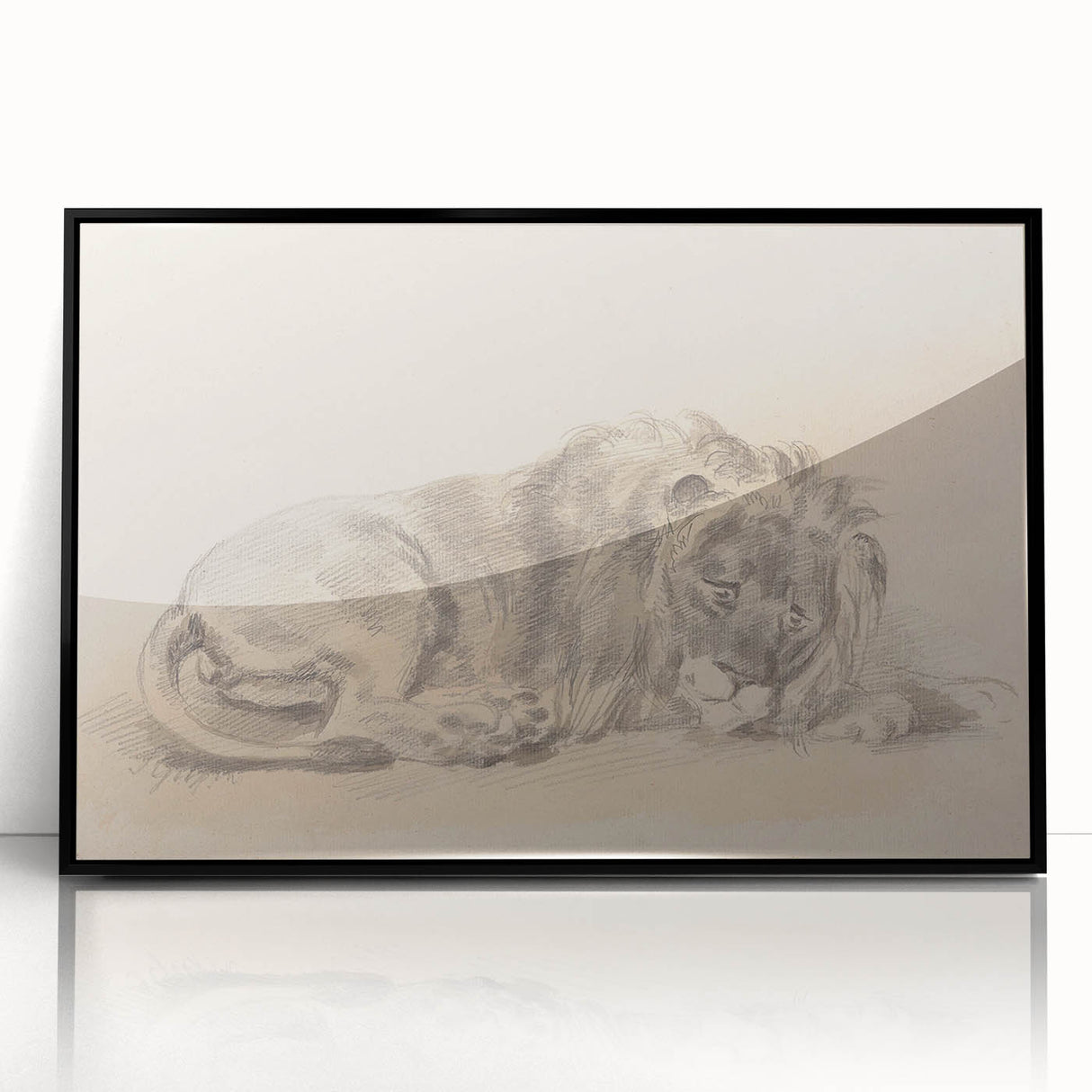 Vintage Animal Art – Lion Sketch Illustration Wall Print