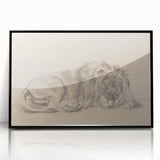 Vintage Animal Art – Lion Sketch Illustration Wall Print