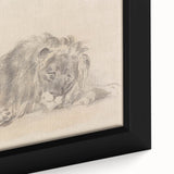 Vintage Animal Art – Lion Sketch Illustration Wall Print