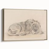 Vintage Animal Art – Lion Sketch Illustration Wall Print