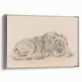 Vintage Animal Art – Lion Sketch Illustration Wall Print