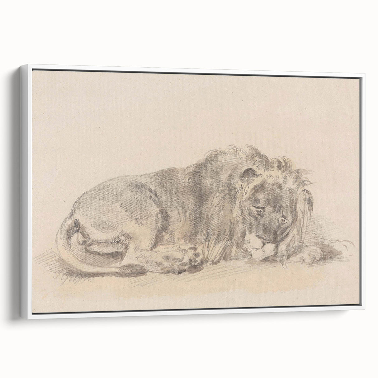 Vintage Animal Art – Lion Sketch Illustration Wall Print