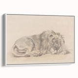 Vintage Animal Art – Lion Sketch Illustration Wall Print