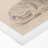 Vintage Animal Art – Lion Sketch Illustration Wall Print