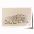 Vintage Animal Art – Lion Sketch Illustration Wall Print