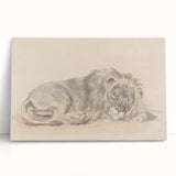 Vintage Animal Art – Lion Sketch Illustration Wall Print