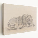 Vintage Animal Art – Lion Sketch Illustration Wall Print