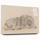 Vintage Animal Art – Lion Sketch Illustration Wall Print