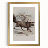 Vintage Fox Illustration – Classic Animal Wall Art Print