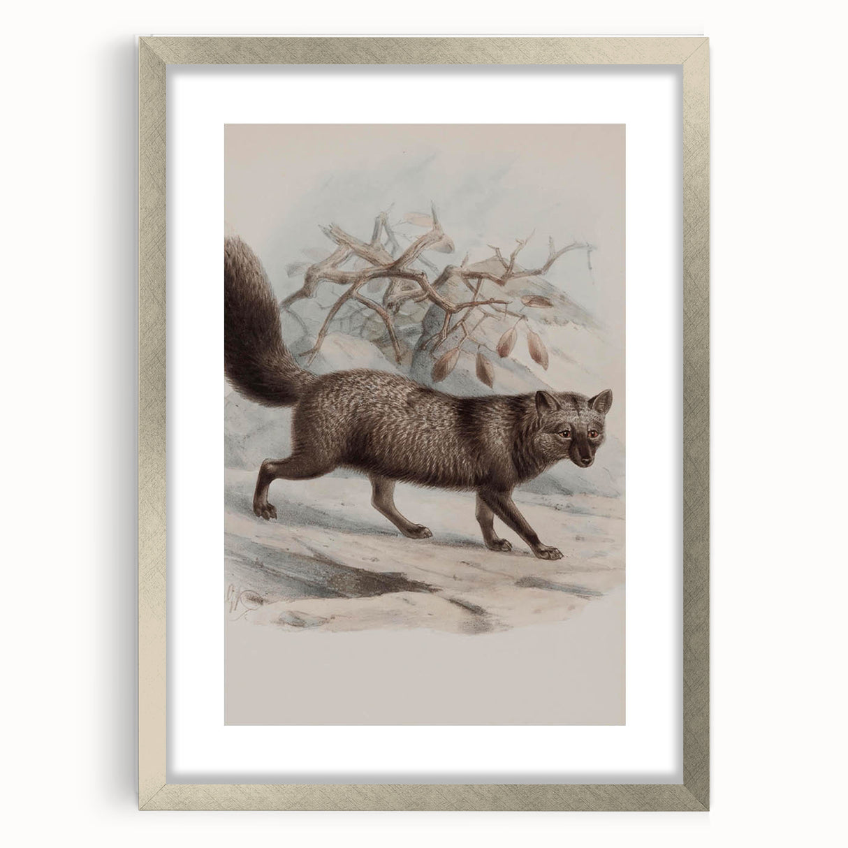 Vintage Fox Illustration – Classic Animal Wall Art Print