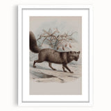 Vintage Fox Illustration – Classic Animal Wall Art Print