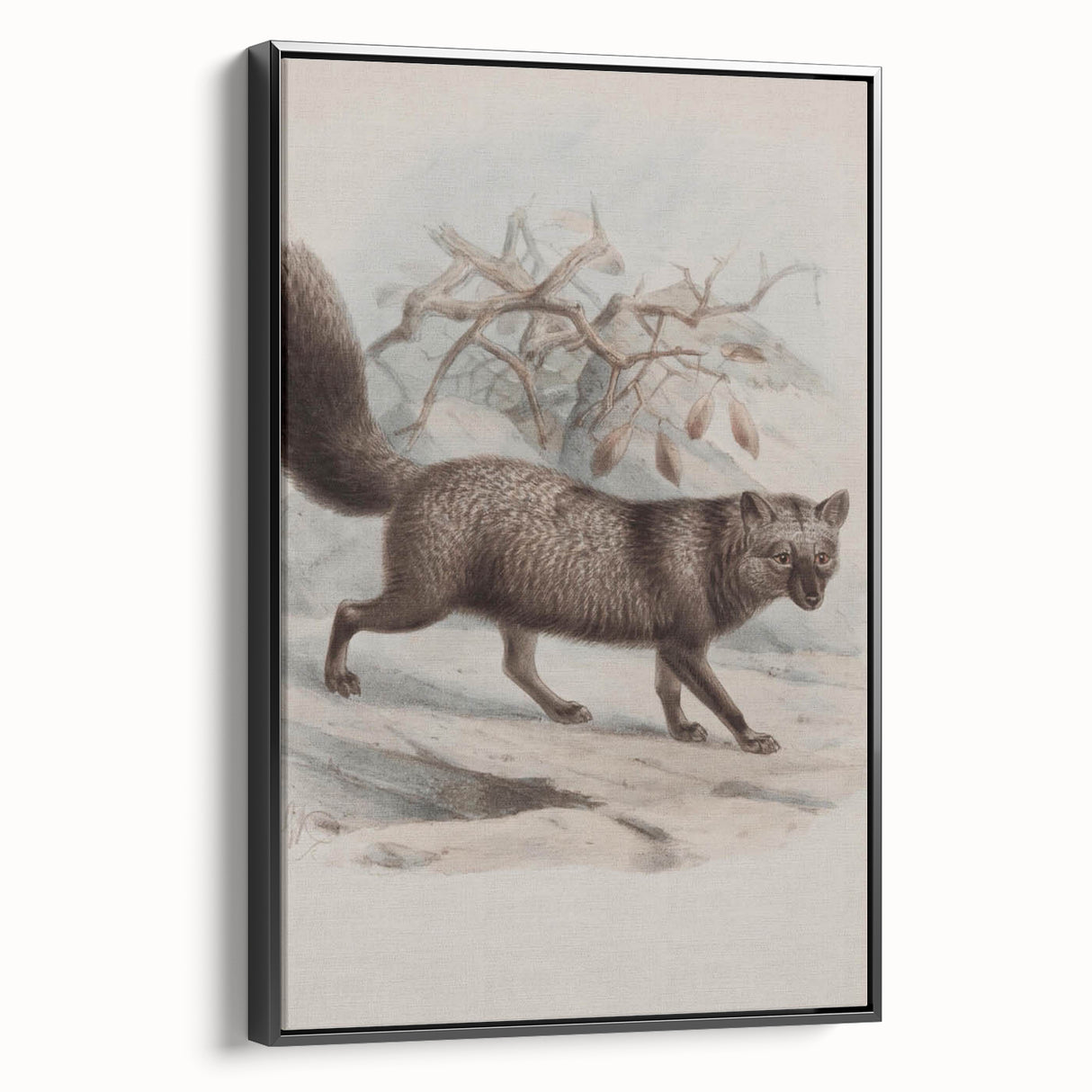 Vintage Fox Illustration – Classic Animal Wall Art Print