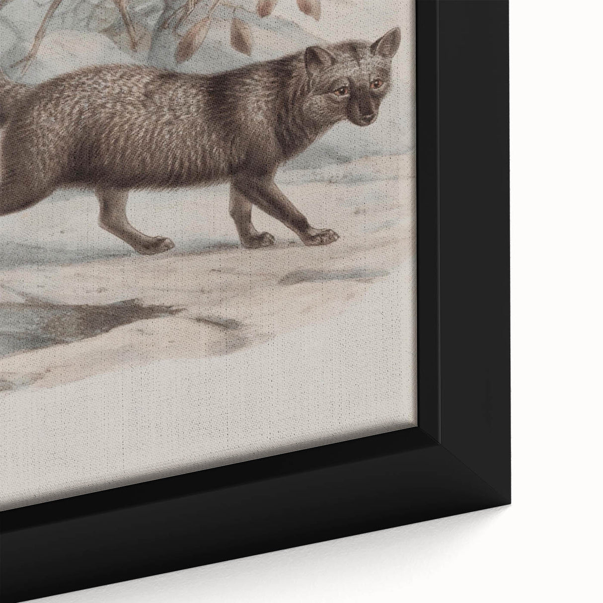 Vintage Fox Illustration – Classic Animal Wall Art Print