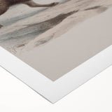 Vintage Fox Illustration – Classic Animal Wall Art Print