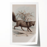 Vintage Fox Illustration – Classic Animal Wall Art Print