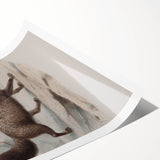 Vintage Fox Illustration – Classic Animal Wall Art Print