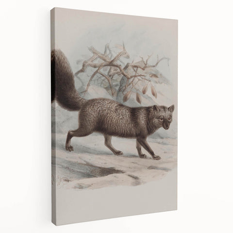 Vintage Fox Illustration – Classic Animal Wall Art Print