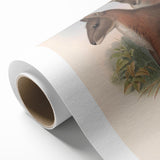 Vintage Wallaby Illustration – Classic Wildlife Art Print