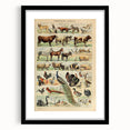 Vintage Domestic Animals Illustration – Farmhouse Wall Art Print