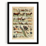 Vintage Domestic Animals Illustration – Farmhouse Wall Art Print