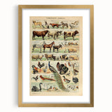 Vintage Domestic Animals Illustration – Farmhouse Wall Art Print
