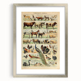Vintage Domestic Animals Illustration – Farmhouse Wall Art Print