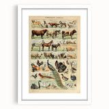 Vintage Domestic Animals Illustration – Farmhouse Wall Art Print