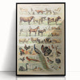 Vintage Domestic Animals Illustration – Farmhouse Wall Art Print