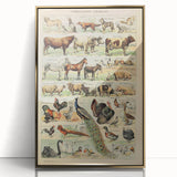 Vintage Domestic Animals Illustration – Farmhouse Wall Art Print