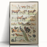 Vintage Domestic Animals Illustration – Farmhouse Wall Art Print