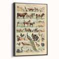 Vintage Domestic Animals Illustration – Farmhouse Wall Art Print