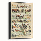 Vintage Domestic Animals Illustration – Farmhouse Wall Art Print