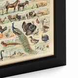 Vintage Domestic Animals Illustration – Farmhouse Wall Art Print