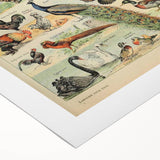 Vintage Domestic Animals Illustration – Farmhouse Wall Art Print