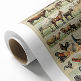 Vintage Domestic Animals Illustration – Farmhouse Wall Art Print