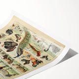 Vintage Domestic Animals Illustration – Farmhouse Wall Art Print