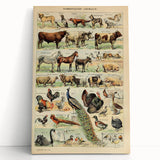 Vintage Domestic Animals Illustration – Farmhouse Wall Art Print