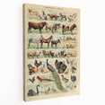 Vintage Domestic Animals Illustration – Farmhouse Wall Art Print